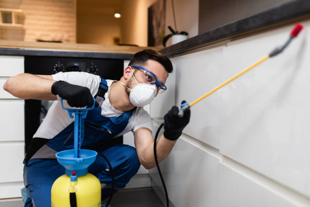 Reliable Basehor, KS Pest Control Solutions