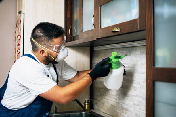 Best Pest Control for Businesses  in Basehor, KS
