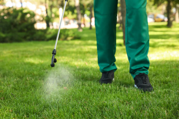 Best Commercial Pest Control Services  in Basehor, KS