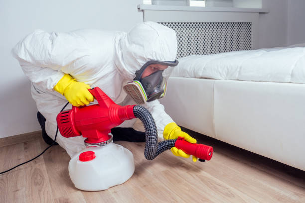 Best Exterminator Services  in Basehor, KS