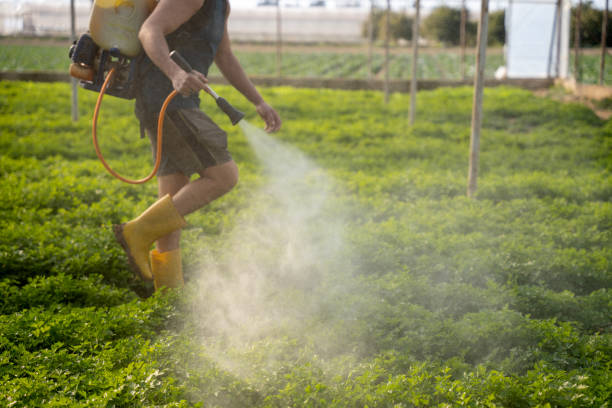 Best Residential Pest Control  in Basehor, KS