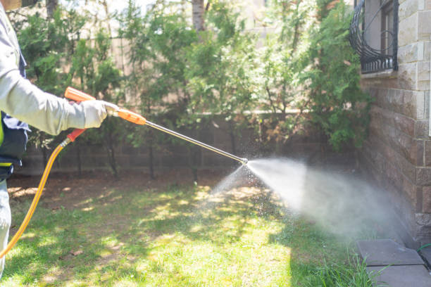Best Wasp Removal Services  in Basehor, KS