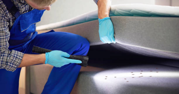 Best Wasp Removal Services  in Basehor, KS
